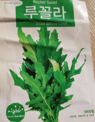  루꼴라 심는 시기, 가을 파종이 '진짜'입니다! (지금부터 서두르세요)