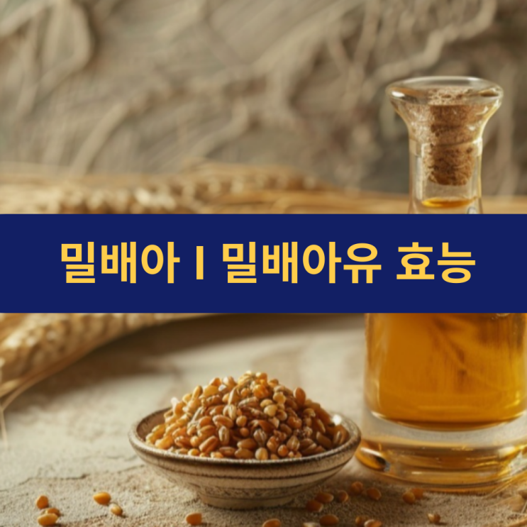  밀배아 | 밀배아유의 놀라운 건강  효능
