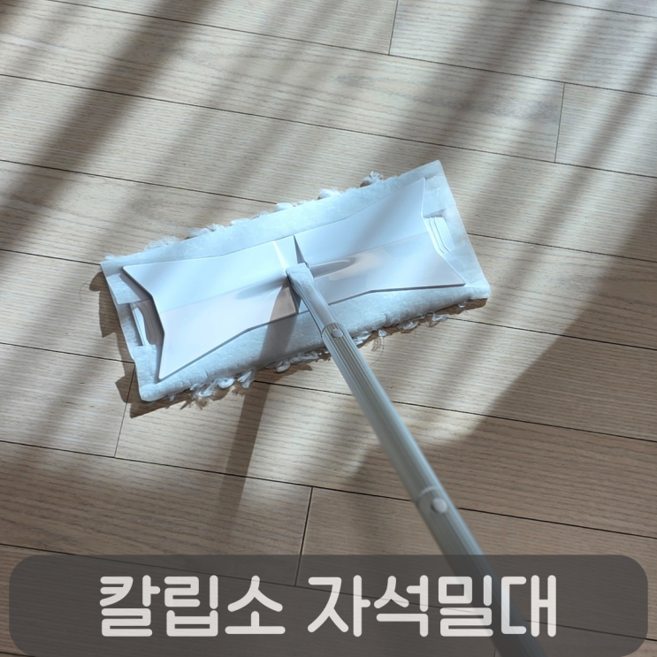  매일 청소가 쉬워지는 칼립소 자석 밀대, 정전기청소포&물걸레