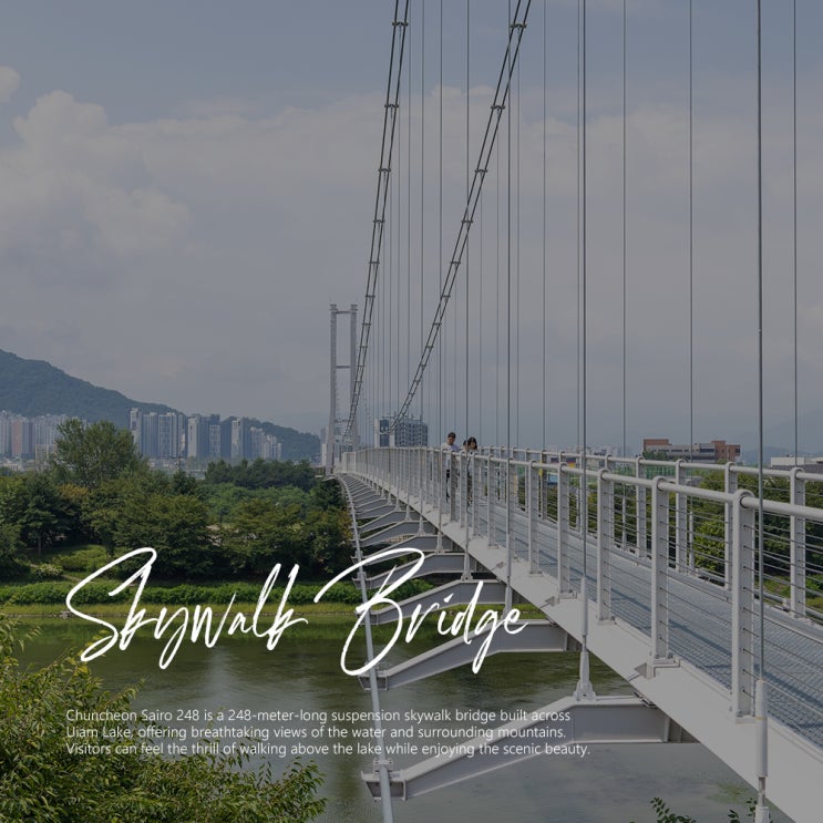  춘천 갈만한곳 의암호 출렁다리 사이로 248