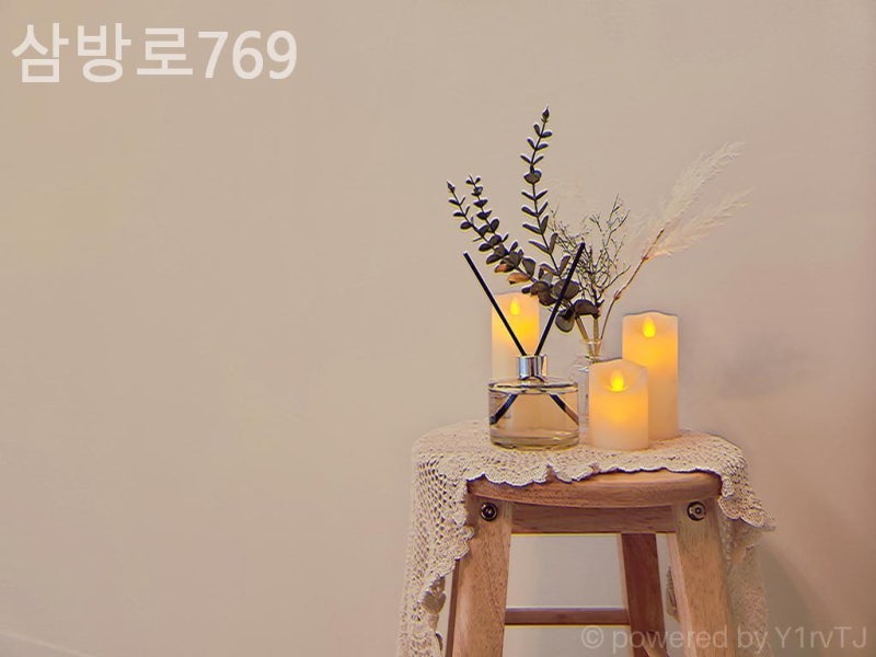 사진 2