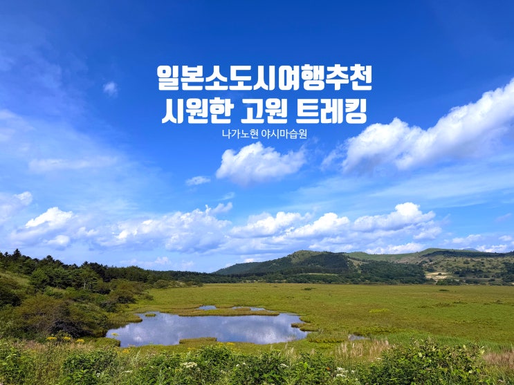  일본 소도시 나가노 여행 추천 야시마습원 트레킹