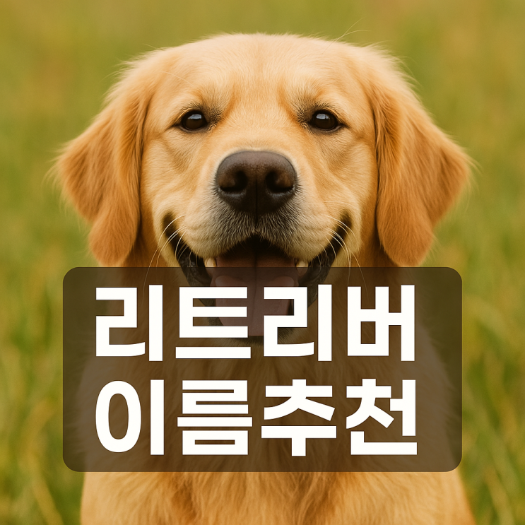  리트리버 이름 추천 100가지 남자 여자아이 특징