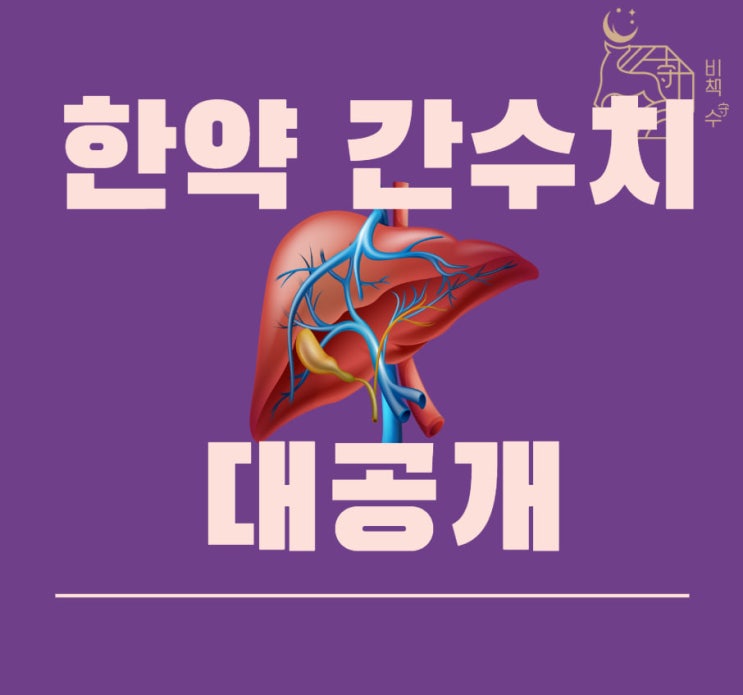  대공개! 다이어트 한약 복용후 간수치 3배? 리얼 결과(경희수 원장 분석),분당, 용인 수지 후기