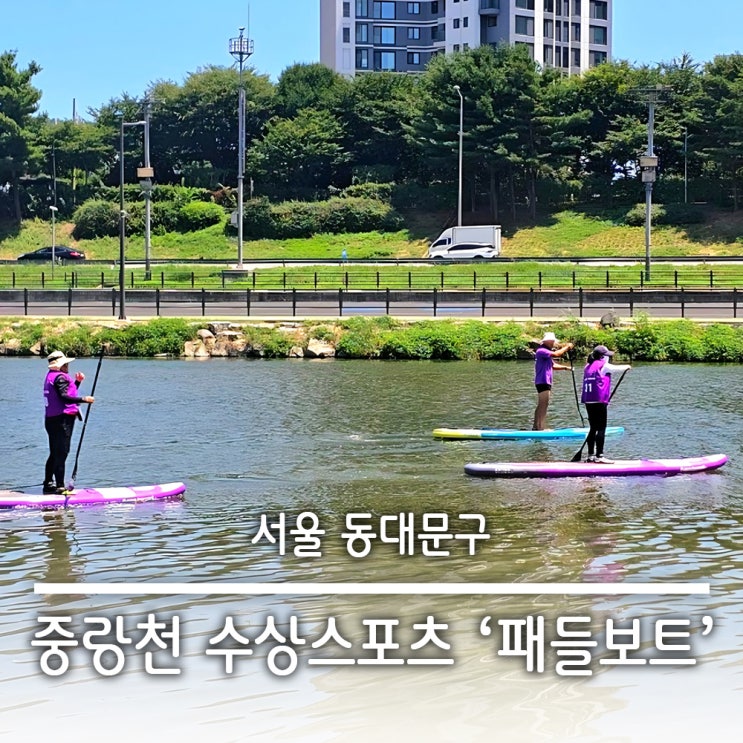  여름철 즐기기 좋은 중랑천 수상스포츠 초보자 패들보트 무료 강습