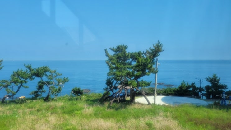  경주 굴골사 근처 전망대 커피숖에서