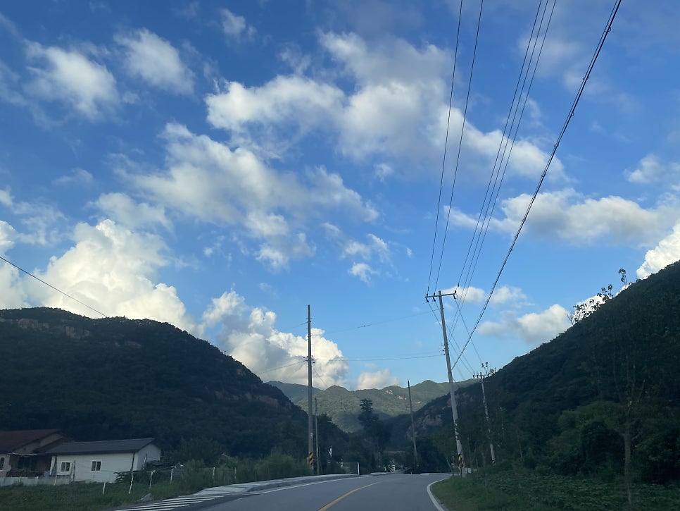 노이브로트 사진 1