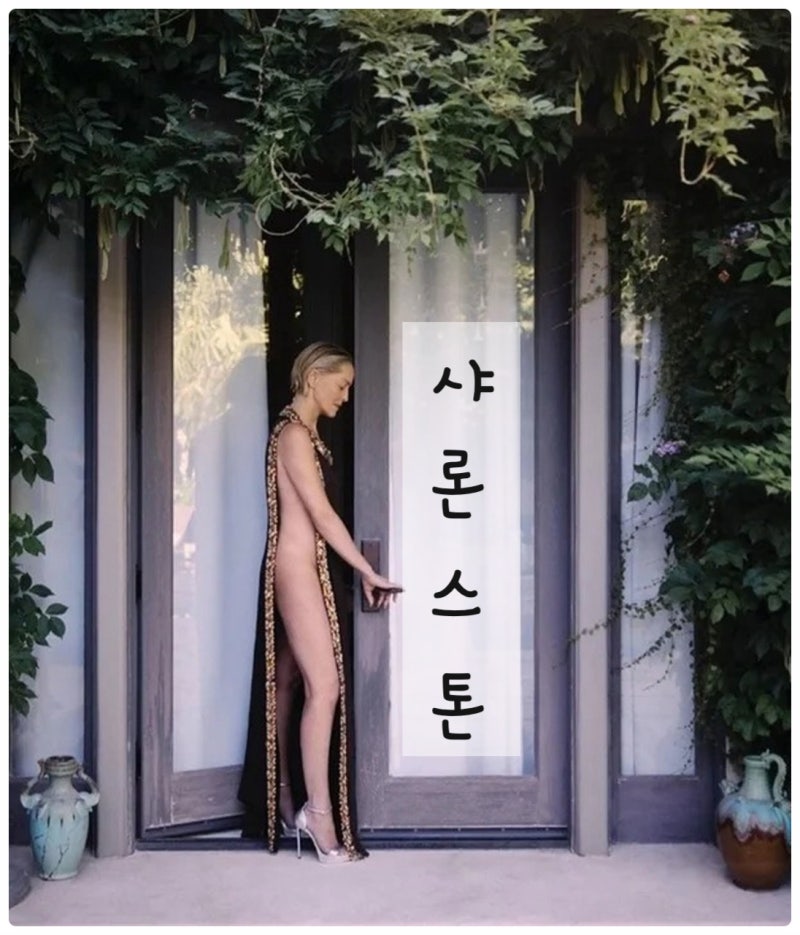 (예술적몸매) 67세에도 변함없는 매력! 샤론 스톤의 화보와 새로운 영화 소식