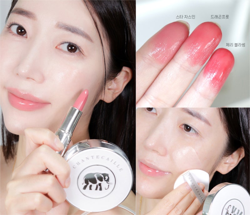 샹테카이 립스틱 컬렉션 신상 립 크렘 & 베스트 쿠션 추천 가을 메이크업 후기