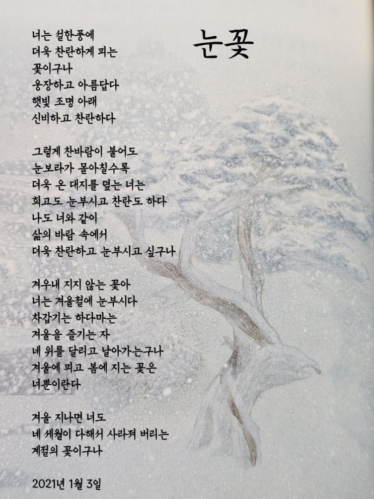  jms 정명석목사 영감의시 ㅡ 눈꽃