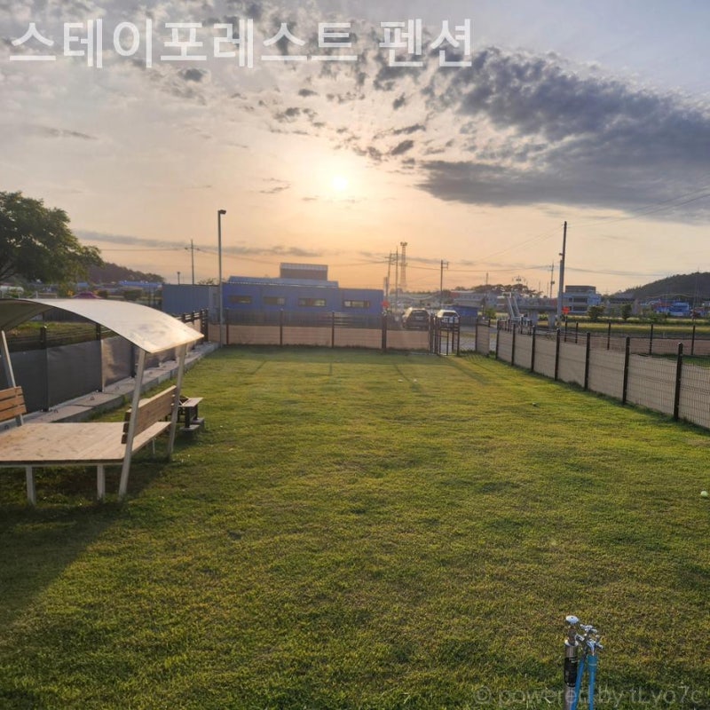 사진 3