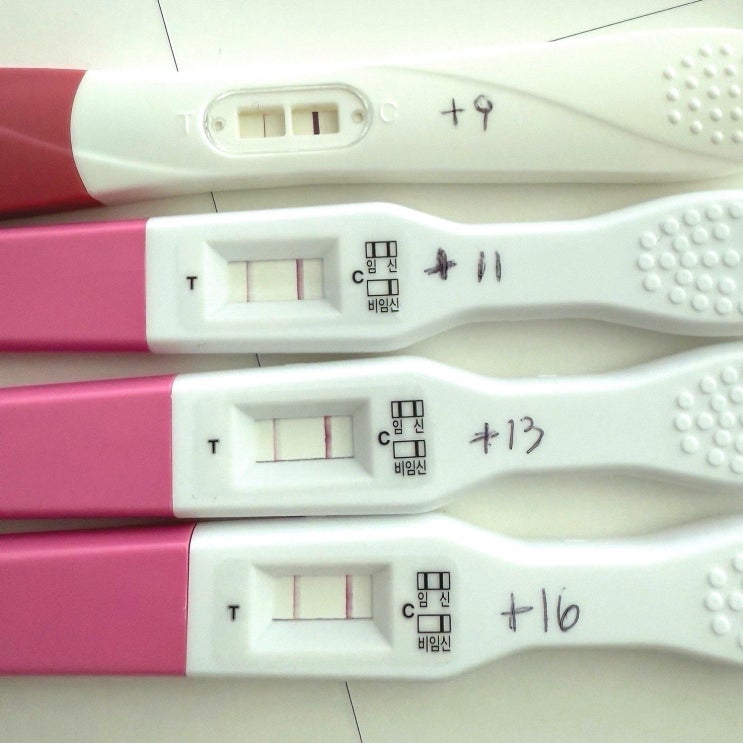  [임신준비#7]신선5일배양 증상과 피검사수치 1일차부터 16일차까지 일기