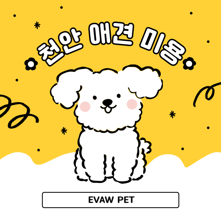  천안애견미용학원 선택이 중요한 까닭과 구별되는 교육 과정