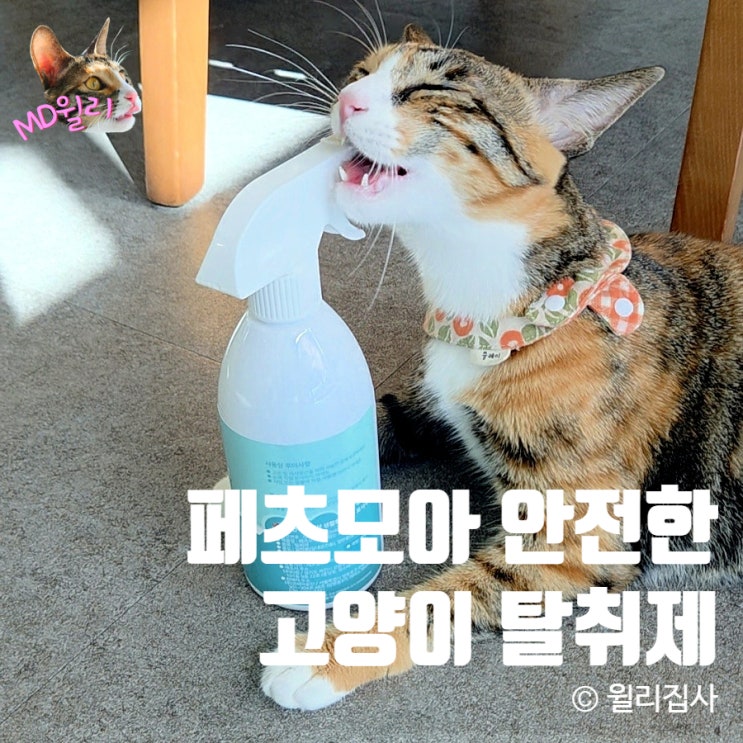  고양이탈취제 냄새제거 무향 무취 화학원료 무첨가 페츠모아