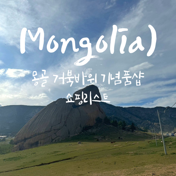  몽골 거북바위 기념품샵 쇼핑리스트