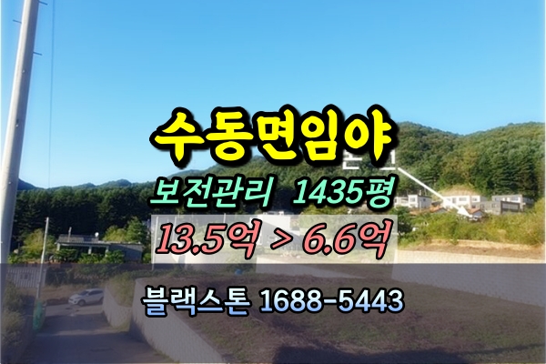  남양주 수동면 임야 경매 개발토지 1천평대 [2024타경4084]