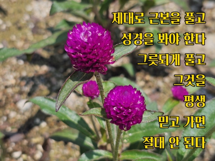  jms 정명석목사 잠언 ㅡ 제대로 근본을 풀고