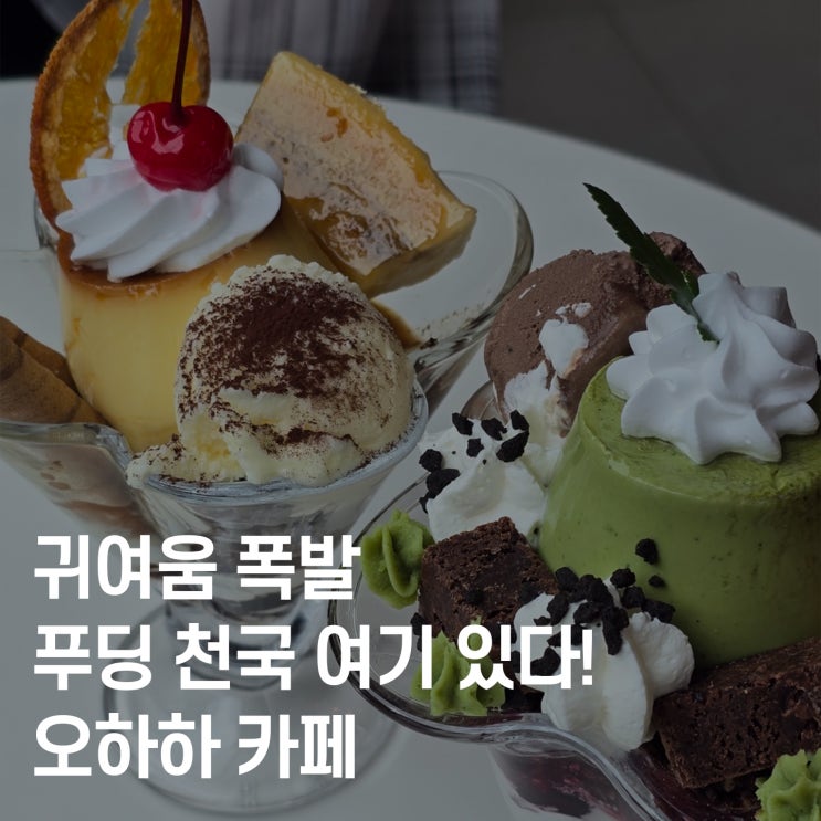  천안 불당동 푸딩 파르페 맛집? 카페 오하하 강추