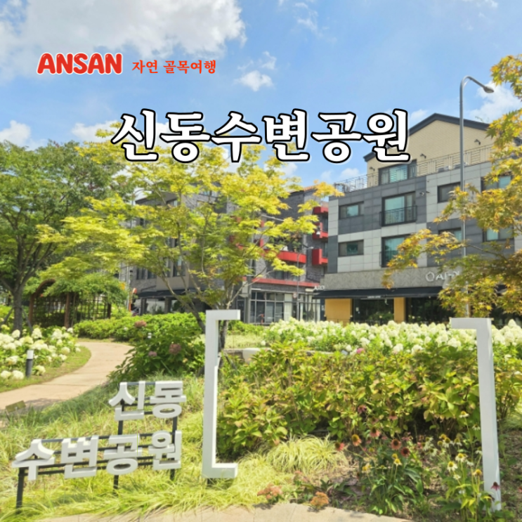  경기도 놀러 갈만한곳 수원 신동수변공원 수국정원 신동카페거리
