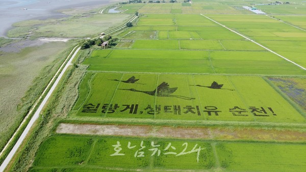  쉴랑게, 생태치유 순천! 벼로 그린 치유 메세지