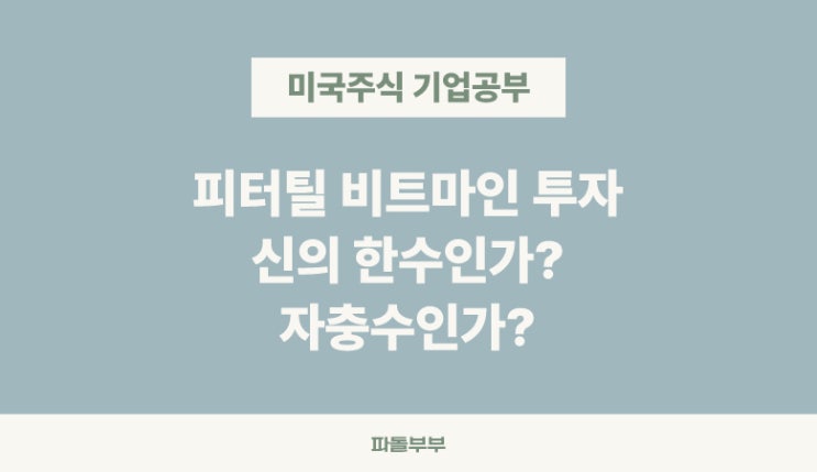  피터틸 투자한 이유 비트마인 이머전 테크놀로지스 티커 BMNR 기업분석 투자 전망 분석