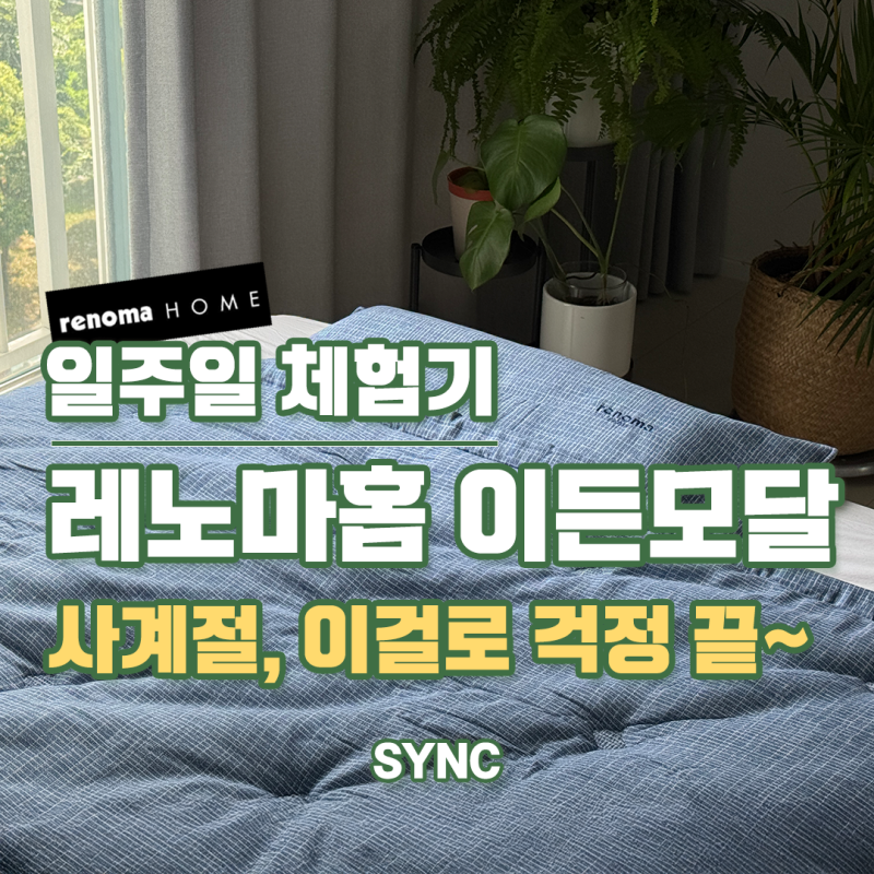 동대문 이불시장 레노마홈 이든모달 사계절 차렵이불 슈퍼싱글 솔직 후기