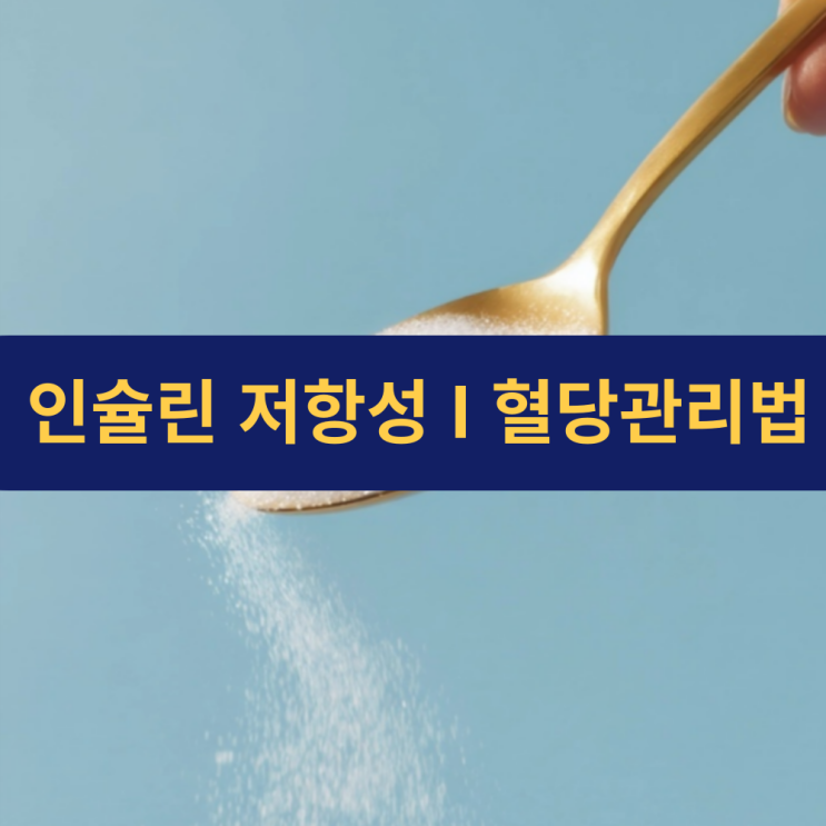  현대인 10명 중 3명 겪는 인슐린 저항성 문제 심각 | 인슐린의 역할 | 혈당 관리 방법