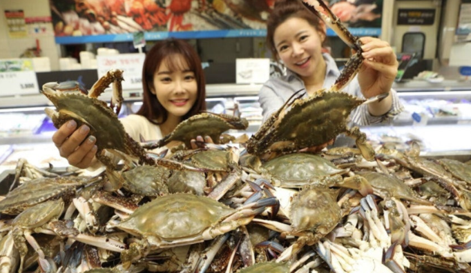  서해안 햇꽃게 금어기 해제! 대형마트 초저가 전쟁 시작