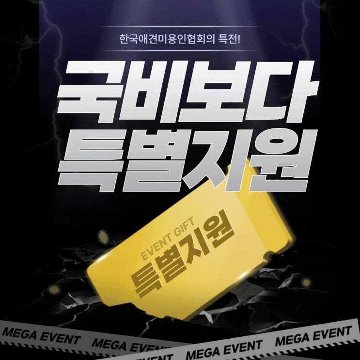 광주애견미용학원국비 지원보다 쉽고 빠르게 배울 수 있는 아카데미