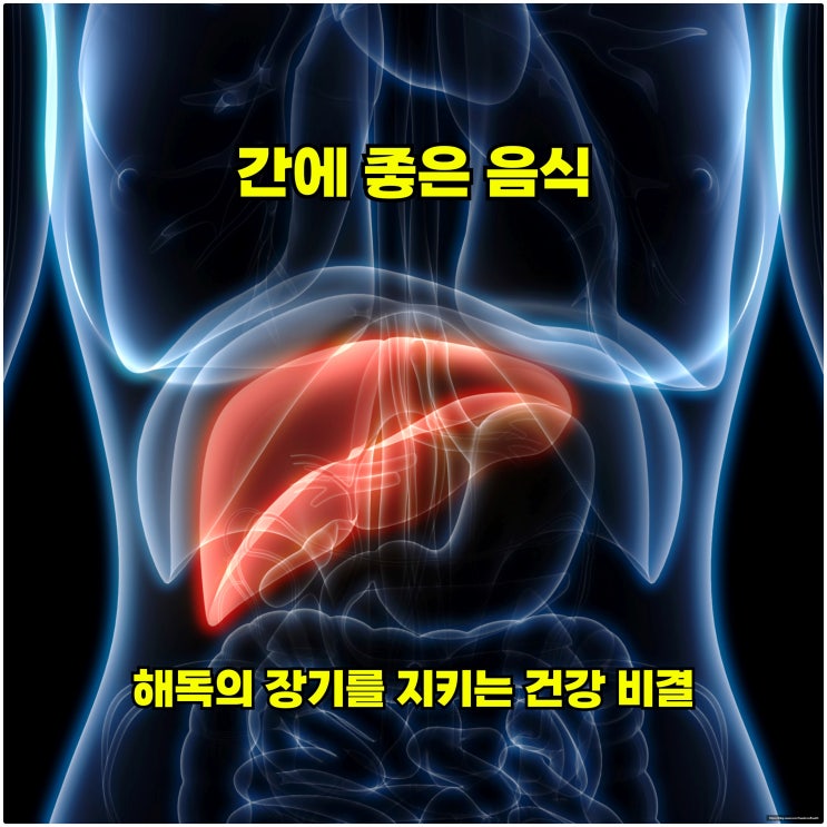  간에 좋은 음식, 해독의 장기를 지키는 건강 비결