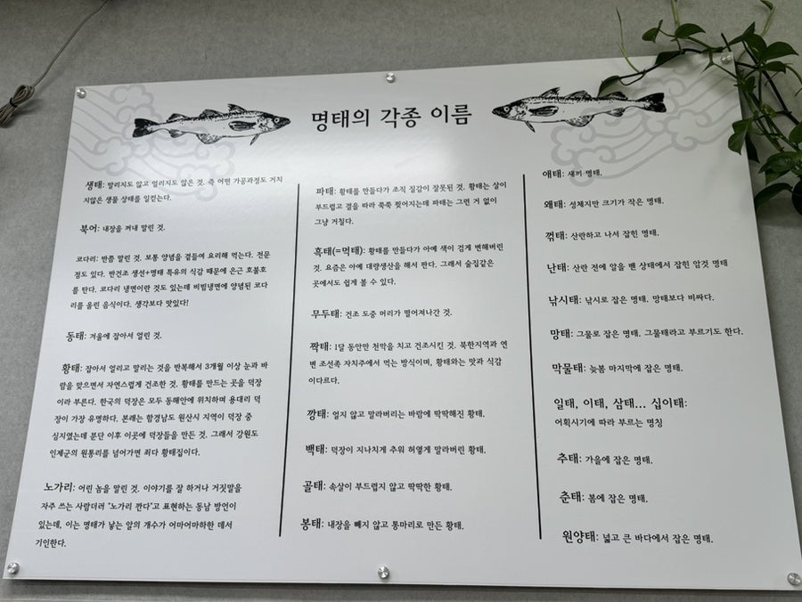 봉평막국수랑코다리 사진 3
