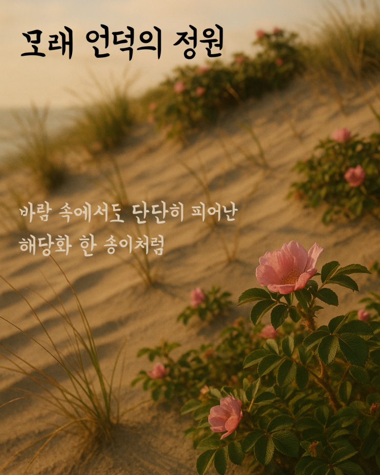   해당화로 보는 삶의 정원 7편 - 모래 언덕의 정원