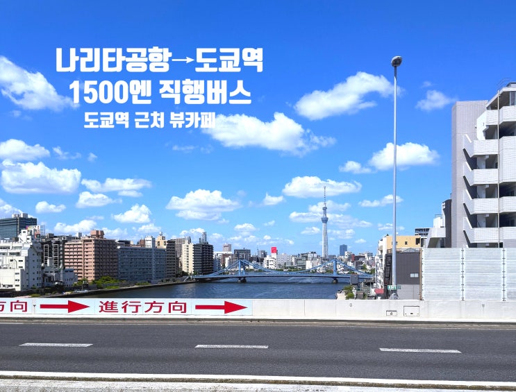  나리타공항에서 도쿄역 가는 법 1500엔 버스, 도쿄역 근처 카페·야경 추천
