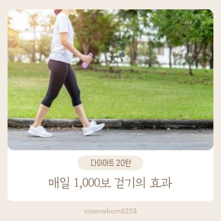  [다이어트 20탄] 걷기효과 제대로 누리기: 하루 1000보로 시작하는 건강 루틴