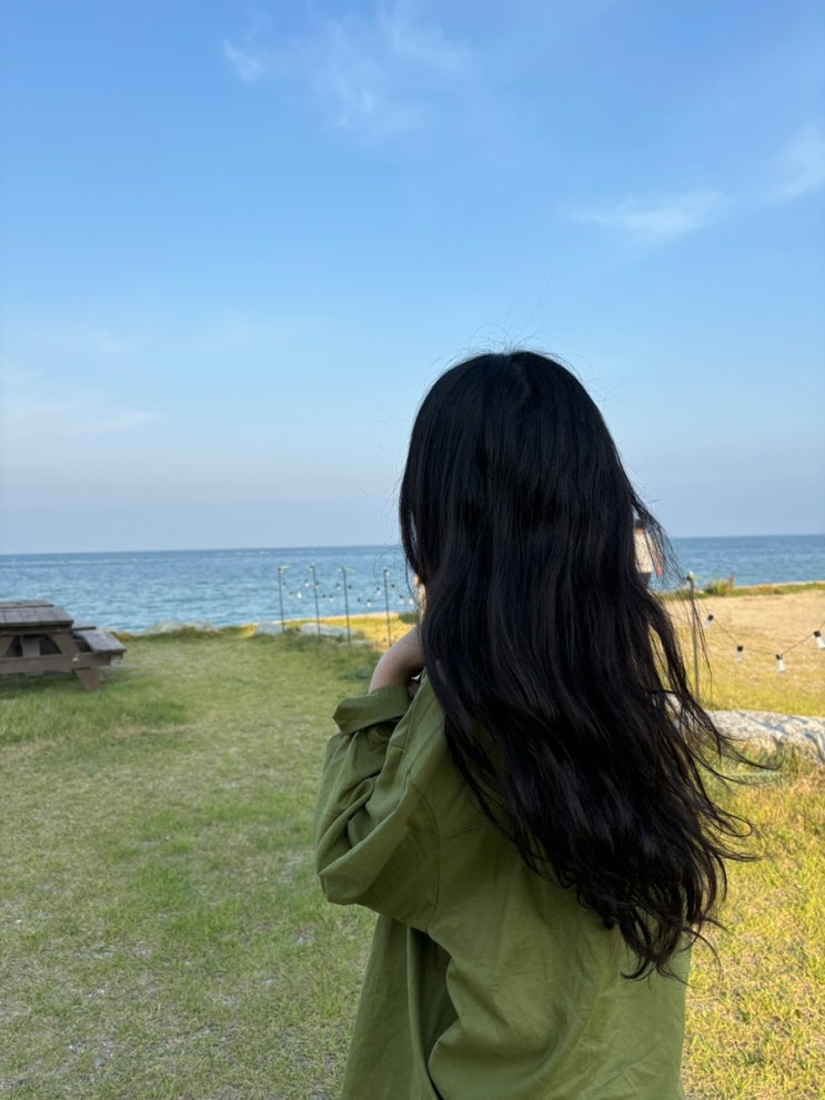  경북 영덕여행 오션뷰 가성비 비프리비펜션 내돈내산
