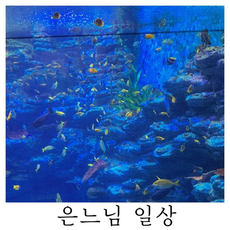  [은느님 일상]덥다 덥네 더워