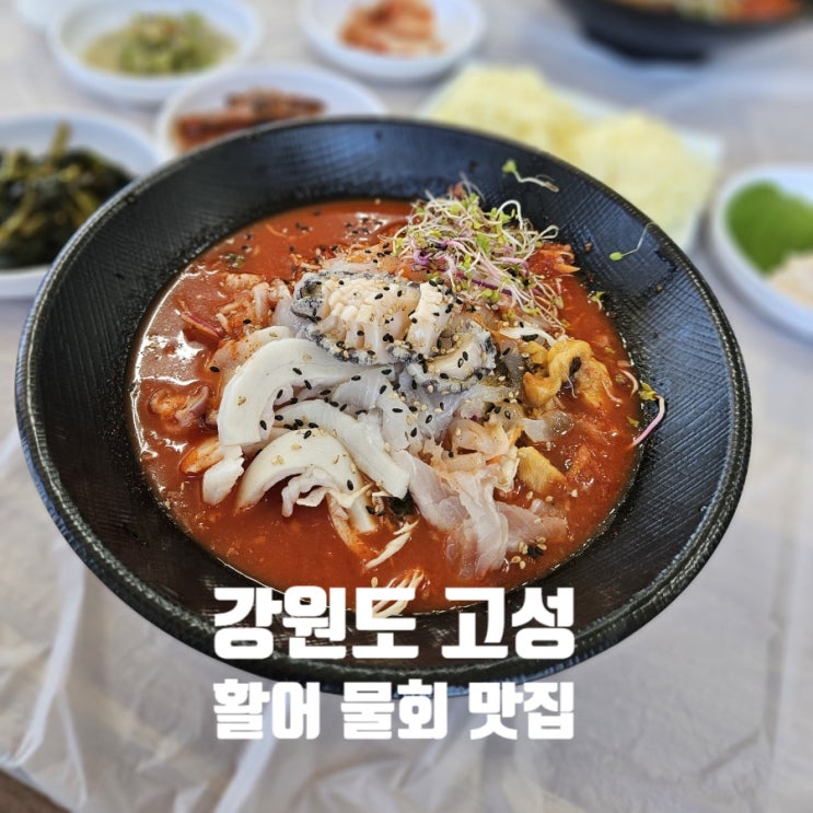  강원도 고성 물회 맛집 | 활어회가 한가득 들어간 가성비 2만원 물회 한상 추천 ! 비치수산회센터