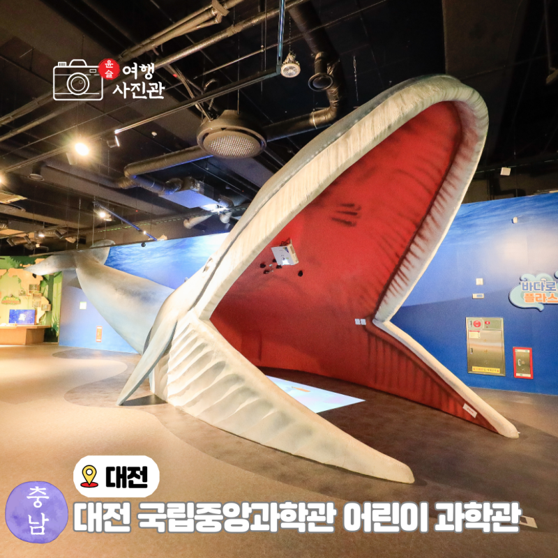 대전 국립중앙과학관 어린이과학관 아이와 가볼 만한 곳