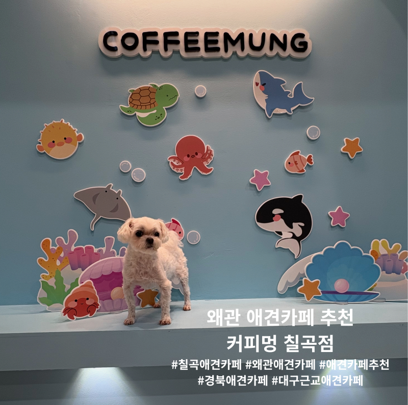 사진 4