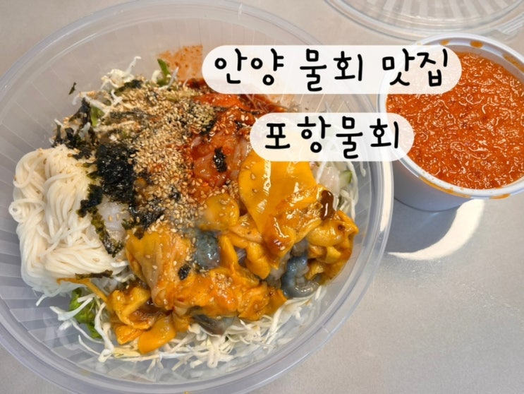  [안양 범계] 내돈내산 물회 맛집 포항물회 포장 주차꿀팁