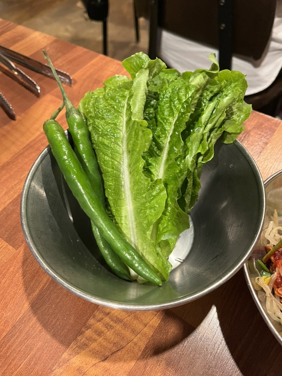 찬미돼지 사진 6