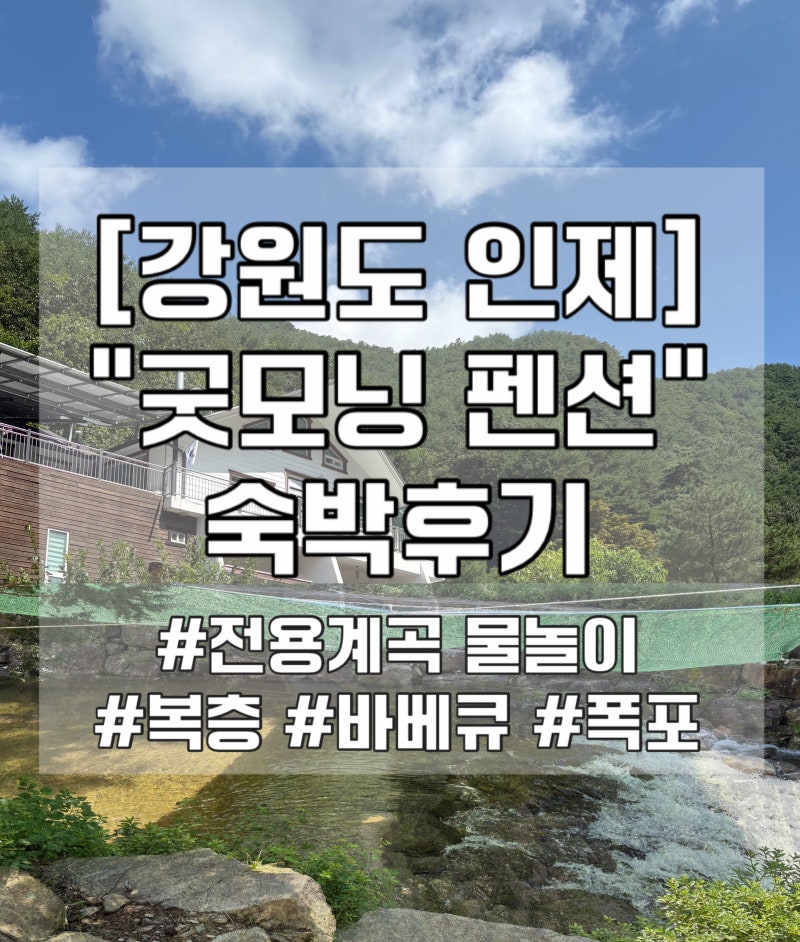 사진 3