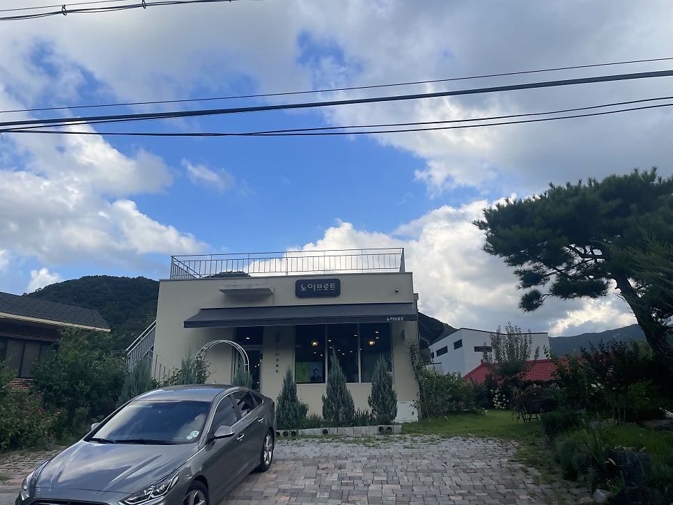 노이브로트 사진 5