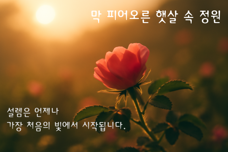   해당화로 보는 삶의 정원 10편 - 막 피어오른 햇살 속 정원