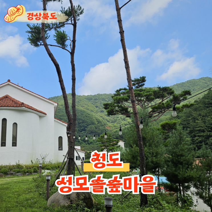  경북 청도 가볼만한곳 성모솔숲마을 성당 피정의집 가는길