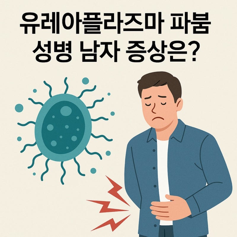 유레아플라즈마 파붐 성병 원인 (남자) 증상 무심코 지나치나요?