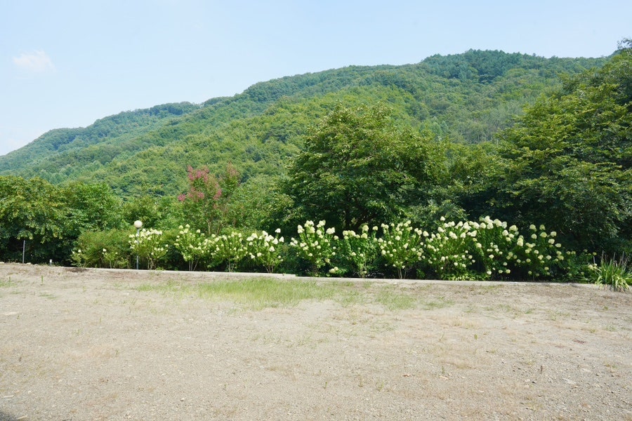 한벽도예펜션 사진 4