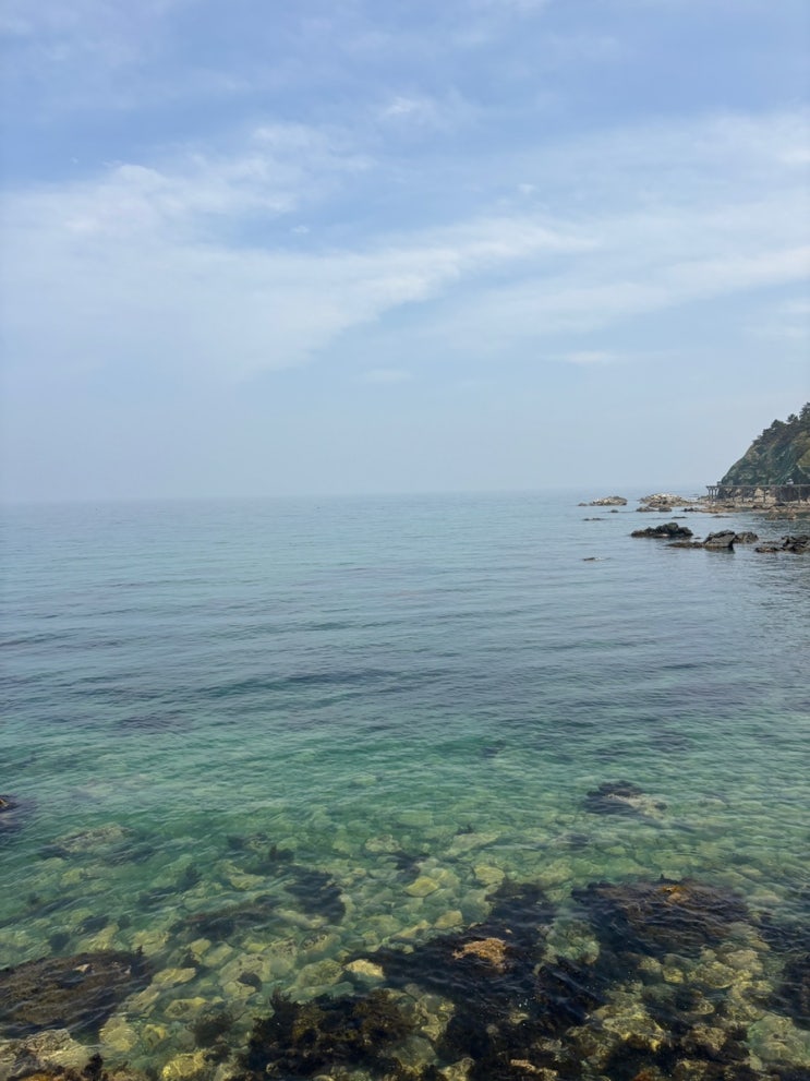  경북 울진여행 가볼만한곳 죽변해안 스카이 레일 가격 에어컨 운영시간 주차