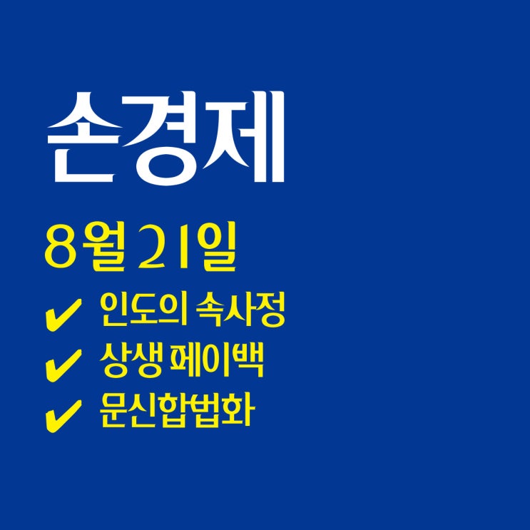  손경제 / 인도의 속사정| 상생페이백| 문신합법화 | 20250821(목)