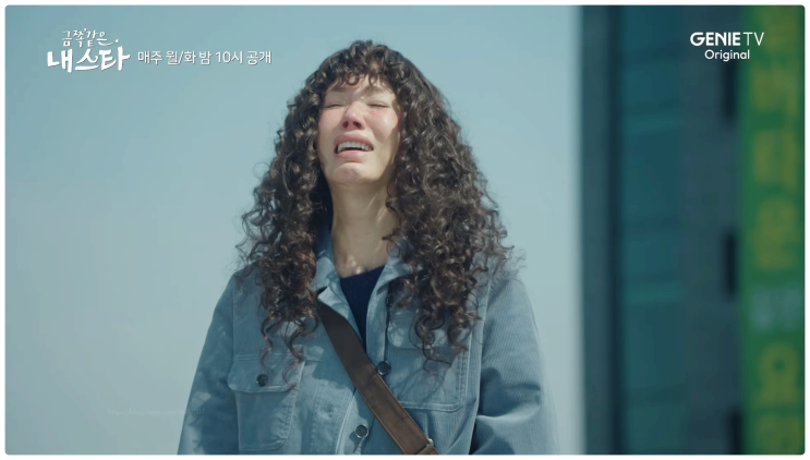  금쪽같은내스타 기본 정보 몇부작 인물관계도 엄정화 송승헌 줄거리 월화드라마 리뷰